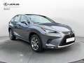 Lexus NX 300 NX Hybrid 4WD Premium Grau - thumbnail 3