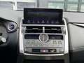 Lexus NX 300 NX Hybrid 4WD Premium Grau - thumbnail 15