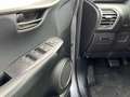 Lexus NX 300 NX Hybrid 4WD Premium Grau - thumbnail 11