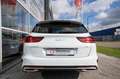 Kia Ceed SW / cee'd SW Sportswagon 1.6 GDI PHEV DynamicLine | Carplay | N Weiß - thumbnail 9