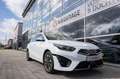Kia Ceed SW / cee'd SW Sportswagon 1.6 GDI PHEV DynamicLine | Carplay | N Weiß - thumbnail 12
