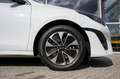 Kia Ceed SW / cee'd SW Sportswagon 1.6 GDI PHEV DynamicLine | Carplay | N Weiß - thumbnail 14