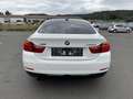 BMW 430 d Gran Coupe  xDrive Sport Line /Navi / Leder Blanco - thumbnail 13