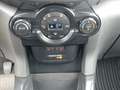Ford EcoSport EcoSport Titanium Navi Kamera Tempomat SHZ - thumbnail 9