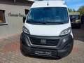 Fiat Ducato L5H2+1.HD+HU-05/2027+ZAHNRIEMEN NEU Blanco - thumbnail 3