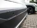 Nissan Qashqai MHEV 158 CV X-tronik N-Connecta My25 Carplay/360 Weiß - thumbnail 15