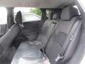 Nissan Qashqai MHEV 158 CV X-tronik N-Connecta My25 Carplay/360 Weiß - thumbnail 6