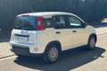 Fiat New Panda Panda 1.0 FireFly S&S Hybrid Blanco - thumbnail 5