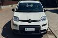 Fiat New Panda Panda 1.0 FireFly S&S Hybrid Blanco - thumbnail 2