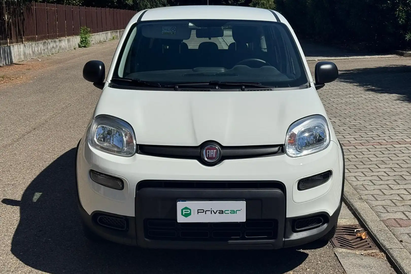 Fiat New Panda Panda 1.0 FireFly S&S Hybrid Blanco - 2