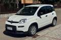 Fiat New Panda Panda 1.0 FireFly S&S Hybrid Blanco - thumbnail 1
