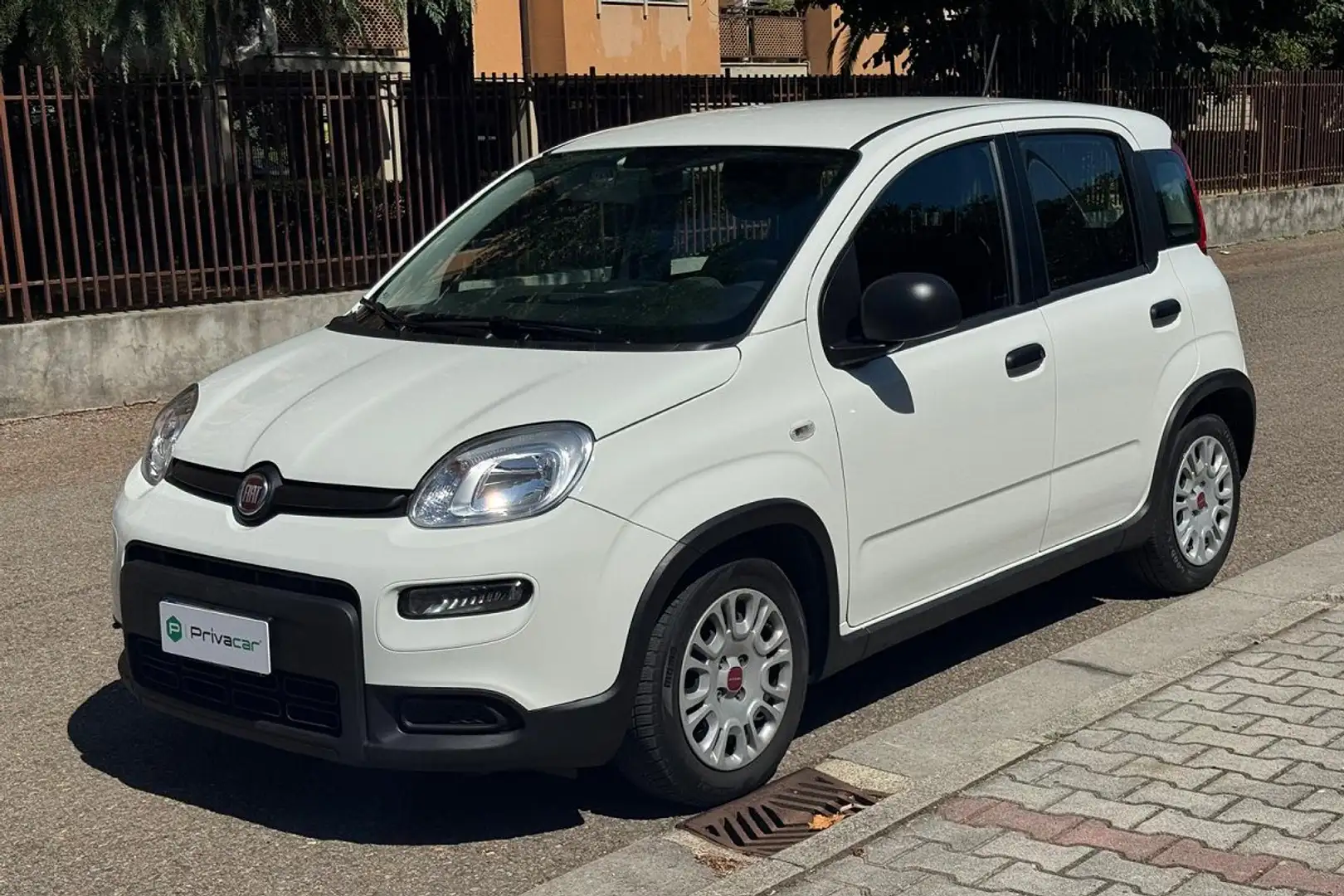 Fiat New Panda Panda 1.0 FireFly S&S Hybrid Blanco - 1