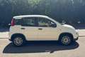 Fiat New Panda Panda 1.0 FireFly S&S Hybrid Blanco - thumbnail 4