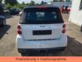 smart forTwo fortwo cabrio TURBO 62 kW Weiß - thumbnail 4