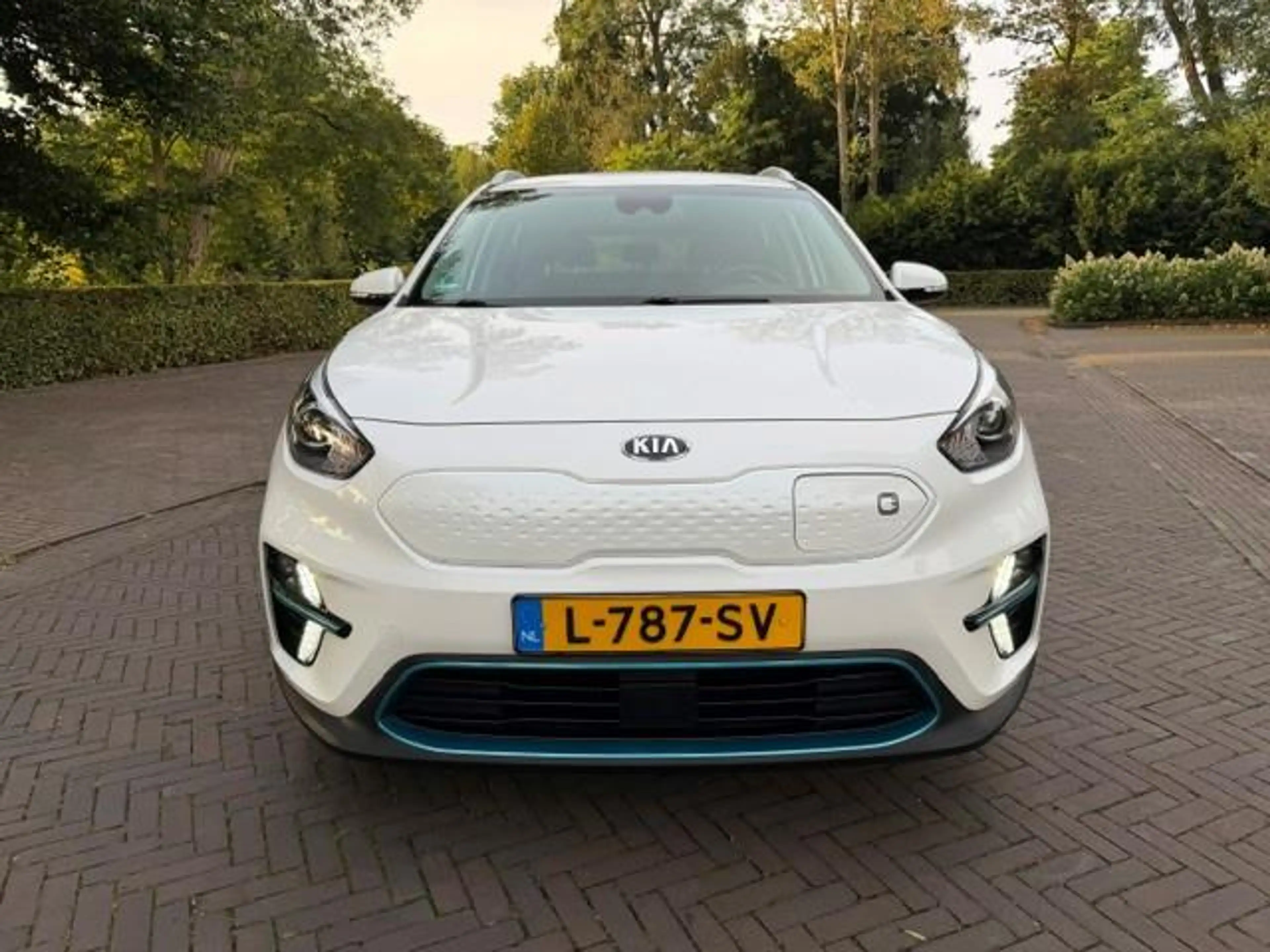 Kia e-Niro Dynamicline 64kWh SOH 100% Warmtepomp/Acarplay/Nav — photo 2