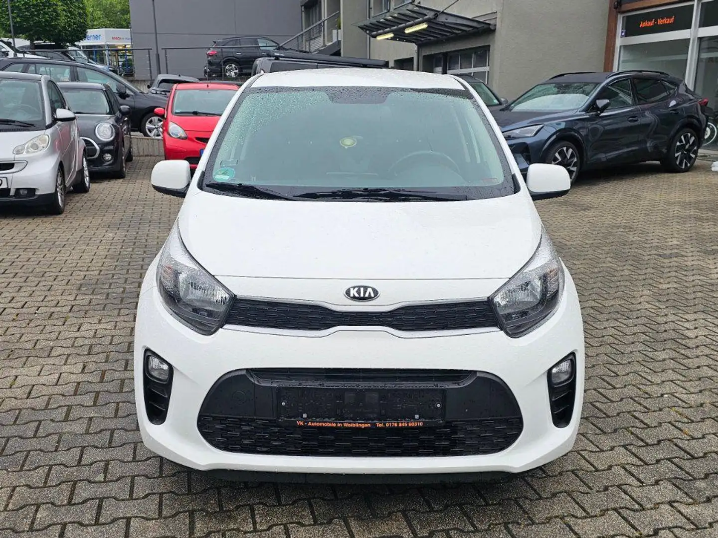 Kia Picanto 1.2 Edition,Klima Wit - 2