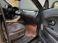 Land Rover Range Rover Evoque 2.0eD4 SE Dynamic 2WD 150 Negro - thumbnail 20