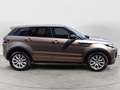 Land Rover Range Rover Evoque Range Rover Evoque 2.0 TD4 150 CV 5p. SE Dynamic Oro - thumbnail 6