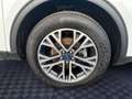 Ford Kuga 2.5 Duratec PHEV TITANIUM X Weiß - thumbnail 16