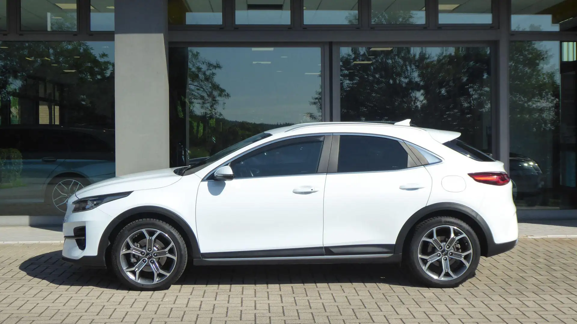 Kia XCeed 1.6 CRDi 136 CV Evolution Bianco - 2