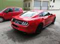 Ford Mustang Premium-Parket: Leder schwarz mit Grauen Zähten Kırmızı - thumbnail 2