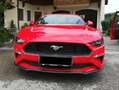 Ford Mustang Premium-Parket: Leder schwarz mit Grauen Zähten Kırmızı - thumbnail 4