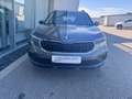 Skoda Kamiq Essence TSI Grau - thumbnail 2