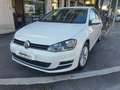 Volkswagen Golf Golf VII 2013 5p 1.6 tdi Executive 110cv Blanc - thumbnail 4