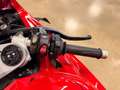 Ducati Panigale V4 RED MY 2024 Rosso - thumbnail 12