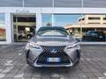 Lexus UX 250h Hybrid auto Fari LED Navi Retrocamera Cruise Gris - thumbnail 16