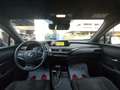 Lexus UX 250h Hybrid auto Fari LED Navi Retrocamera Cruise Gris - thumbnail 5