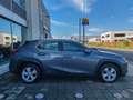 Lexus UX 250h Hybrid auto Fari LED Navi Retrocamera Cruise Gris - thumbnail 42