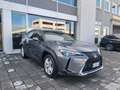 Lexus UX 250h Hybrid auto Fari LED Navi Retrocamera Cruise Gris - thumbnail 2