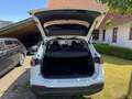 Volkswagen Tiguan 1.5 eTSI 96 kW Life AHK/LED/ACC/Assistent Weiß - thumbnail 4