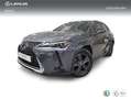 Lexus UX 250h 2.0 Business Gris - thumbnail 1