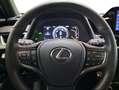Lexus UX 250h 2.0 Business Gris - thumbnail 14