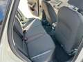 Volkswagen Polo 1.0 TSI Life LED App-Connect Sitzh. PDC DAB+ Grau - thumbnail 15