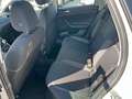 Volkswagen Polo 1.0 TSI Life LED App-Connect Sitzh. PDC DAB+ Grau - thumbnail 12