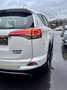 Toyota RAV 4 Hybrid 2.5i 155 cv bva * belge car-pass * Weiß - thumbnail 12