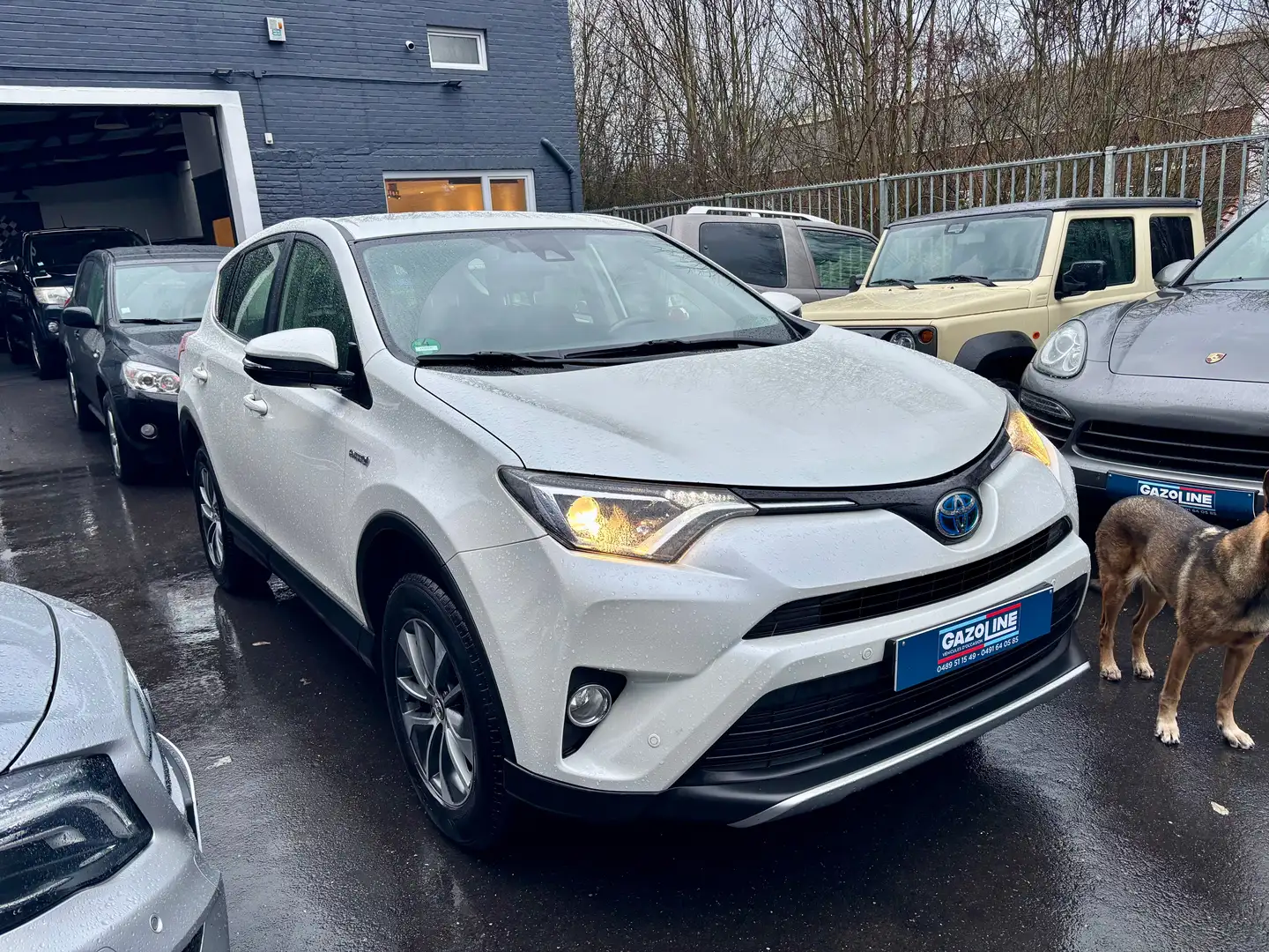 Toyota RAV 4 Hybrid 2.5i 155 cv bva * belge car-pass * Weiß - 2