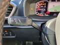 CUPRA Formentor 2.0 TSI DSG 4Drive VZ ACC DCC Pano AHK Navi 19Alu Blau - thumbnail 32