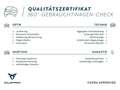 CUPRA Formentor 2.0 TSI DSG 4Drive VZ ACC DCC Pano AHK Navi 19Alu Blau - thumbnail 11