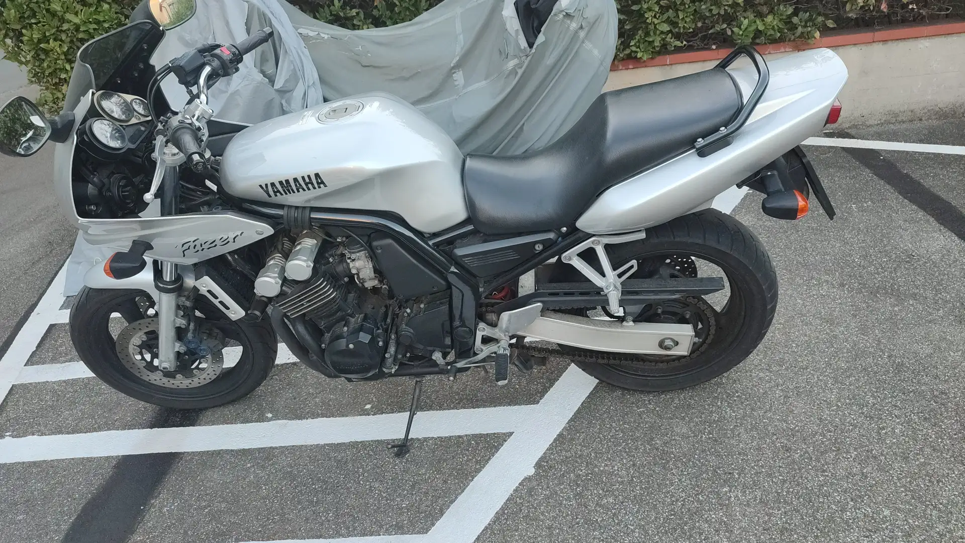 Yamaha FZS 600 Argento - 1