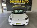 Tesla Model 3 Model 3 Long Range Dual Motor awd Bianco - thumbnail 2