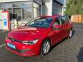 Volkswagen Golf VIII 1.0 TSI Life - Navi - PDC - Sitz+Lenkradhzg - Rouge - thumbnail 3