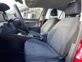 Volkswagen Golf VIII 1.0 TSI Life - Navi - PDC - Sitz+Lenkradhzg - Rouge - thumbnail 7
