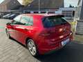 Volkswagen Golf VIII 1.0 TSI Life - Navi - PDC - Sitz+Lenkradhzg - Rouge - thumbnail 4