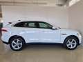 Jaguar F-Pace 2.0 D 180 CV aut. Prestige Blanc - thumbnail 6