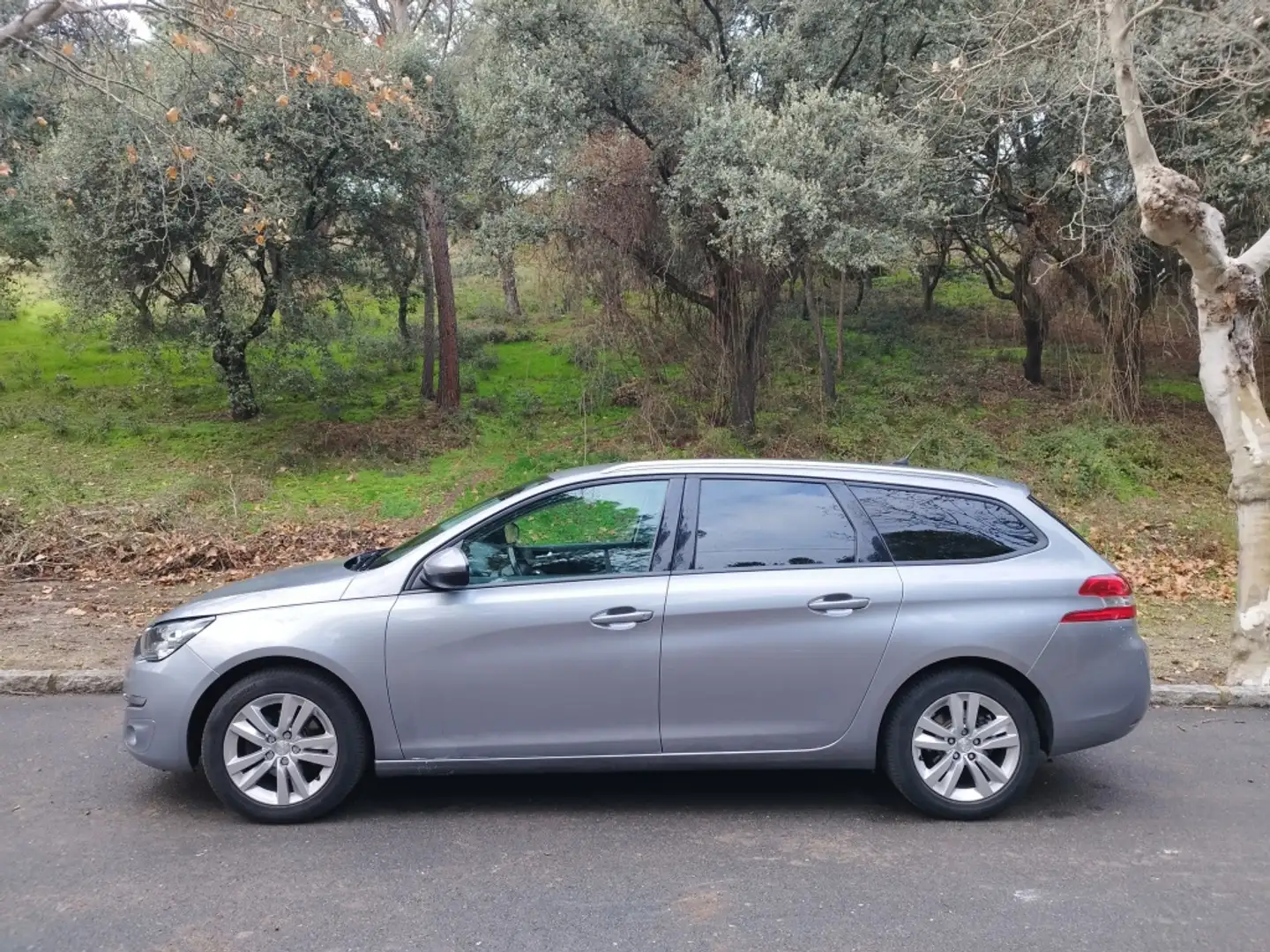 Peugeot 308 SW 1.6 BlueHDi Style 120 Gris - 2