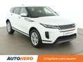 Land Rover Range Rover Evoque D150 Mild-Hybrid HSE Aut. *SPUR*CAM*PDC* Weiß - thumbnail 8